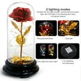 thumbnail image 3 of Frogued Memorable Flower Dome Light Widely Use PC Rose LED Dome String Lamp for Valentines Day (Golden), 3 of 13