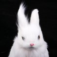 thumbnail image 3 of Conejo Peluches Peluche Peluche Animales Bebé Niños Juguete Blanco, 3 of 9