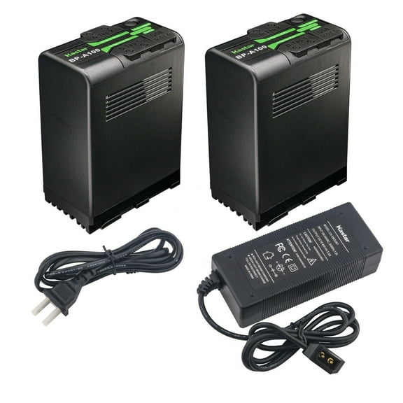 Kastar BP-A100 Battery 2 Pack and D-Tap Rapid Charger for Canon BP-A Series BP-A30 BP-A60 BP-A65 BP-A68 BP-A90 BP-A100 0870C002 Battery, CG-A10 CG-A20 Charger, EOS C700 PL 4K Cinema PL C 700 Camera
