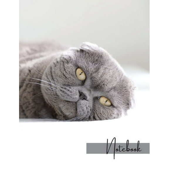Notebook: Unlined - Unruled - Plain Notebook - Blank Journal - 130 Pages - Large Format 8.5 x 11 in - Workbook - Composition - Cats - Abyssinian Cover Design - for orders (Paperbac