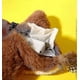 thumbnail image 5 of Electronic Interactive Flying Bird Cat Toy Hanging Pet Flapping Wings Sparrow, 5 of 5