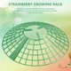 thumbnail image 2 of 10PCS Strawberry Stand Frame Holder Balcony Planting Rack Fruit Support Plant Flower Climbing Vine P, 2 of 5