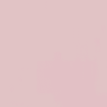 Organic Rose