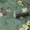 Green, variant on (4 pack) UMIGGEE 17.7-in x 236-in Floral Peel and Stick Wallpaper Floral Contact Paper Removable Wallpaper Decorative Self Adhesive Wallpaper Wall Paper for Home Decor Wall Covering Old Furniture Renovation