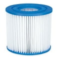 thumbnail image 5 of (2 pack) Bluescape Type D Pool Filter Cartridge 2-Pack, White, Adults, 5 of 6