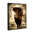 thumbnail image 2 of Stupell Industries Sunlit Highland Longhorn Cattle Wandering Rural Countryside Photograph Jet Black Floating Framed Canvas Print Wall Art, Design by James Dobson, 2 of 5