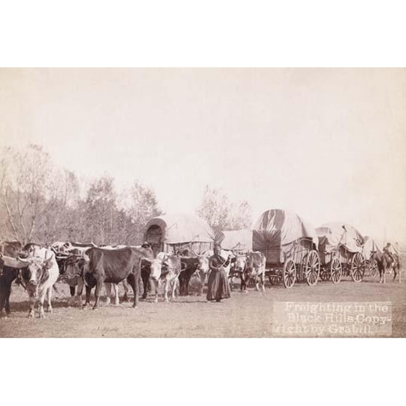 Freighting in the Black Hills- Fine Art Canvas Print (20" x 30")