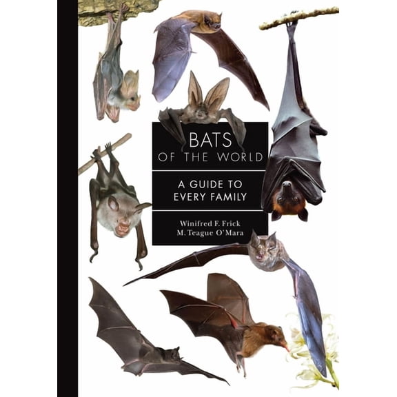 Guide to Every Family Bats of the World: A Guide to Every Family, (Hardcover)