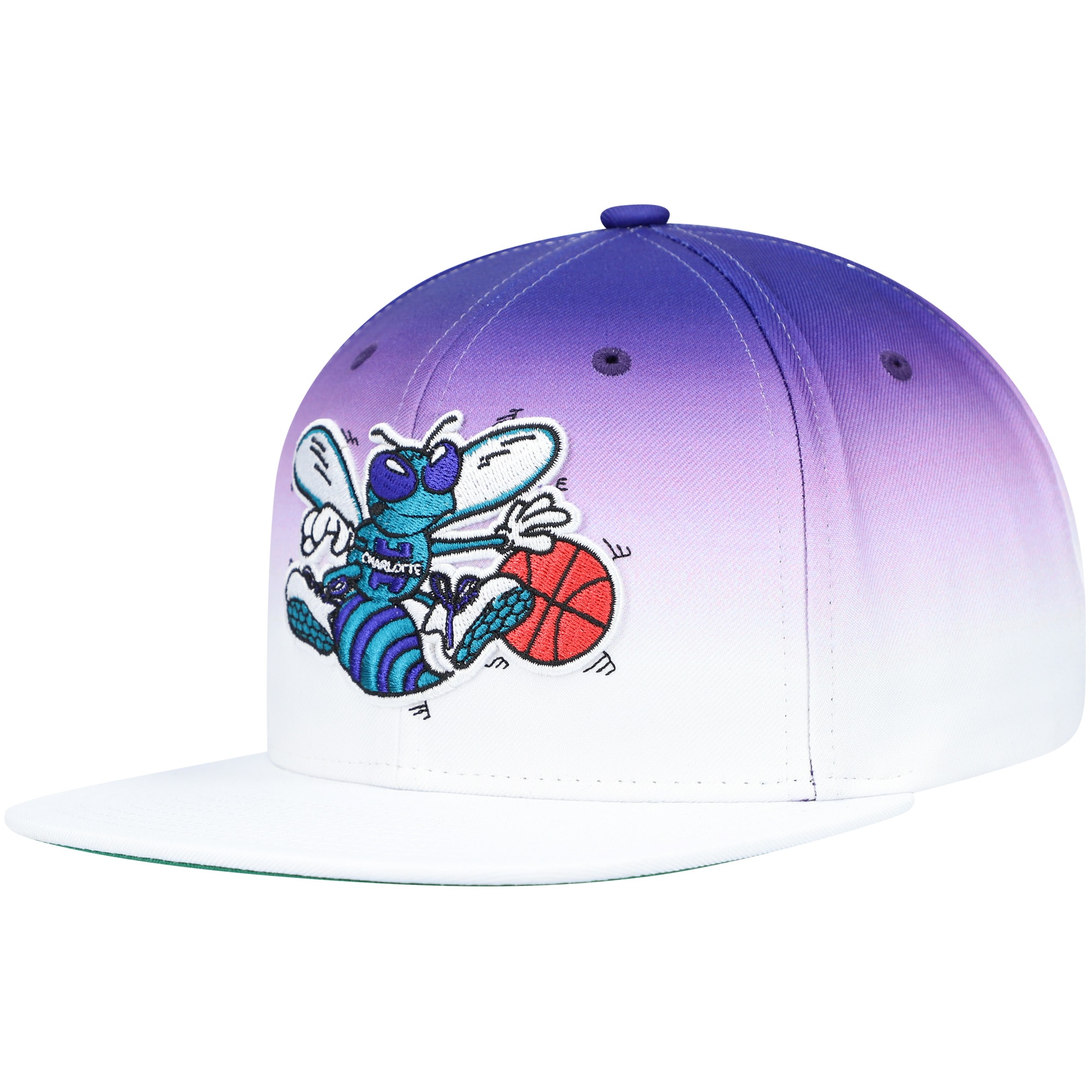 Charlotte Hornets Mitchell \u0026 Ness 