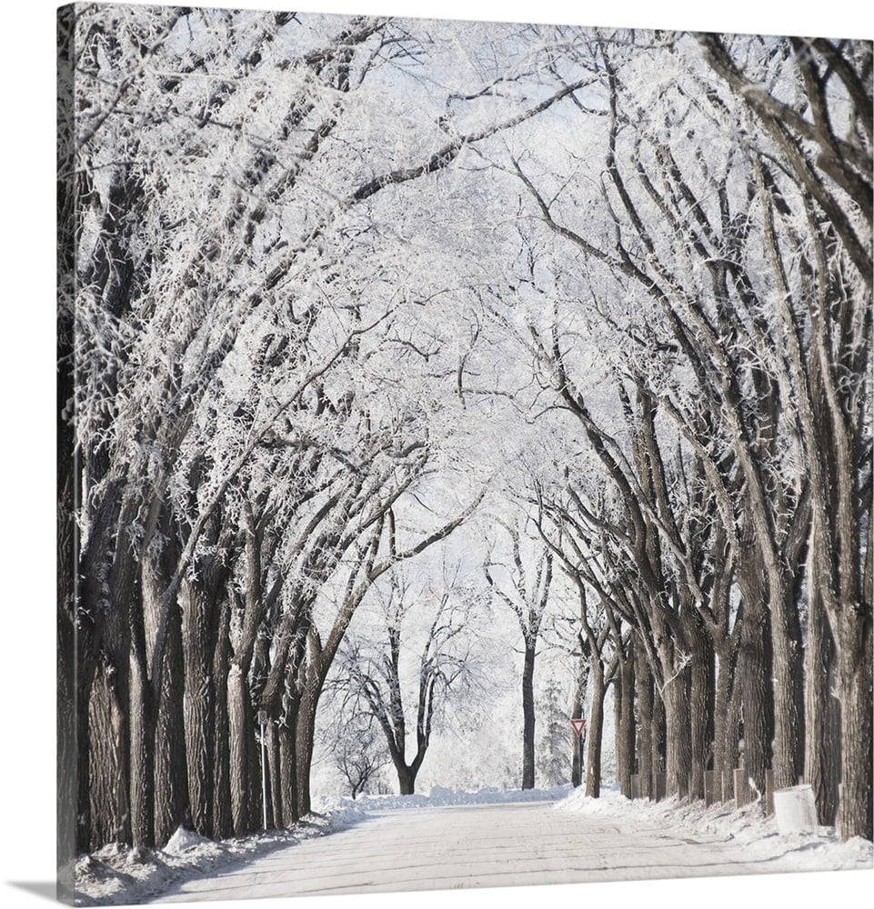 Great BIG Canvas "A Road And Trees Covered In Snow In Winter