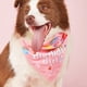 thumbnail image 4 of Sombrero de cumpleaños de mascota de dibujos animados, toalla de saliva de cumpleaños de mascota, toalla triangular para perro, bufanda para mascota, 4 of 5