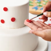 Cake Boss Winter Cake Kit