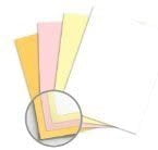 NCR Superior Carbonless Paper, 4-part Straight Collated, 8-1/2 x 11 inch, Case of 1,250 Sets 5,000 Sheets