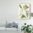 thumbnail image 3 of Trademark Fine Art 'Sweet Assemblage II' Canvas Art by Melissa Wang, 3 of 4