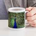 thumbnail image 6 of CafePress - Peacock Mugs - 11 oz Ceramic Mug - Novelty Coffee Tea Cup, 6 of 6