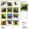 thumbnail image 2 of Chocolate Labrador Retrievers | 2024 12x24" (Hanging) Wall Calendar | BrownTrout, 2 of 8