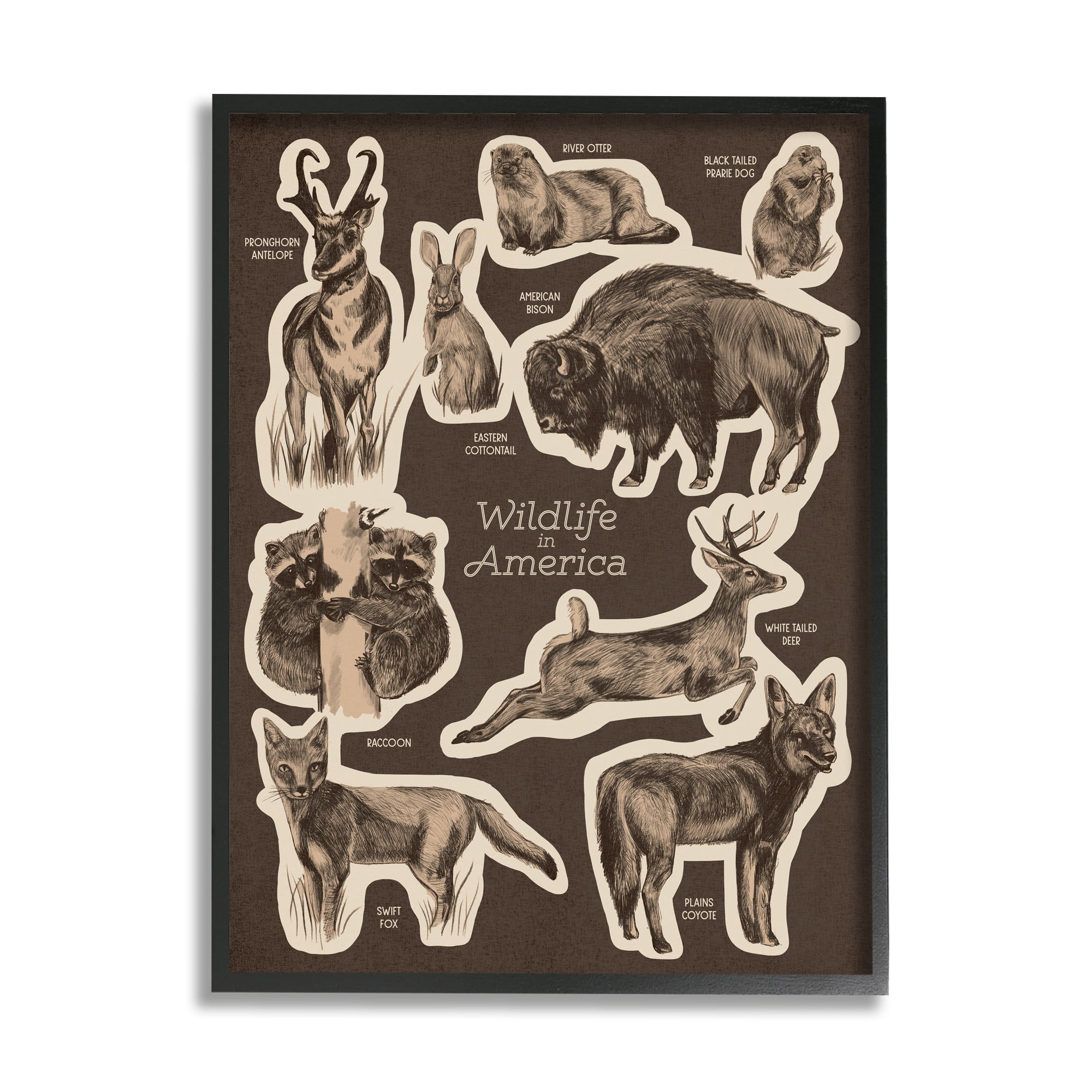 Stupell Industries Wildlife Of America Mixed Animals Chart Brown Background Framed Wall Art, 24 x 30, Design by Lil' Rue