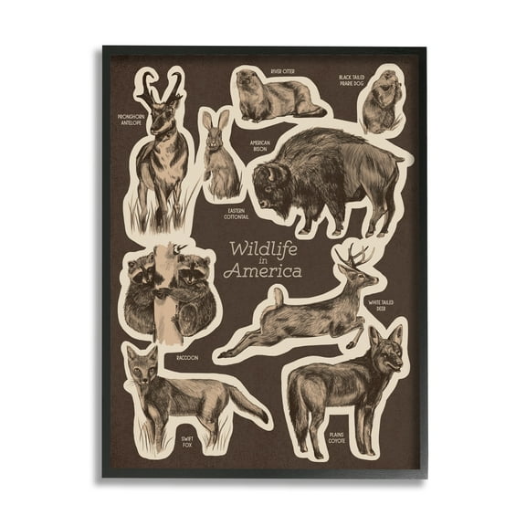 Stupell Industries Wildlife Of Mixed Animals Chart Brown Background Framed Wall Art, 11 x 14, Design by Lil' Rue