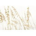 thumbnail image 2 of Urquhart, Elizabeth 14x11 Gold Ornate Wood Framed with Double Matting Museum Art Print Titled - Blowing in the Wind II, 2 of 4