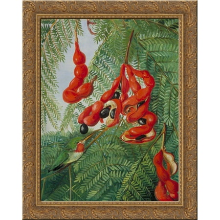 - The Wild Tamarind of Jamaica with Scarlet Pod and Barbet 20x24 Gold Ornate Wood Framed Canvas Art by North, Marianne