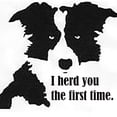 thumbnail image 3 of CafePress - Border Collie Herd You T Shirt - Men's Classic Graphic T-Shirt, 3 of 4