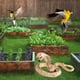 thumbnail image 4 of Serpiente de goma súper realista que ahuyenta a las aves. Serpiente falsa realista de TPR, adecuada para cobras de jardín, serpientes de cascabel, serpientes venenosas, etc., 4 of 4