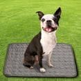 thumbnail image 4 of HHBEAUTY Washable Dog Cooling Mat Ice Silk Cooling Mat for Dogs Pet Self Cooling Pad Blanket Dog Cool Pad for Indoor & Outdoor Car Seats, 4 of 9