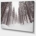 thumbnail image 2 of Winter Scenery in Trentino Alto Adige - Large Forest Canvas Art Print, 2 of 4