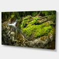 thumbnail image 2 of Creek Moss and Rocks Panorama - Landscape Canvas Art Print, 2 of 4