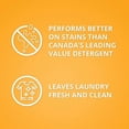 thumbnail image 5 of Arm & Hammer Cold Water Clean Fresh Scent Liquid Laundry Detergent, 55 Loads, 1.63 L, 5 of 5