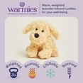 thumbnail image 5 of Golden Dog Junior - Warmies Cozy Plush Heatable Lavender Scented Stuffed Animal, 5 of 5
