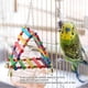 thumbnail image 3 of Bird cage, parrot, bells, toys, wooden ladders, perch, stand, bridge, swing, 3 of 3