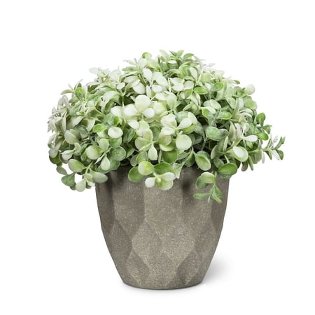 Set of 6 Teardrop Leaf Plant Pot