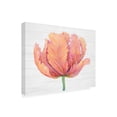 thumbnail image 2 of Trademark Fine Art 'Single Pink Bloom I' Canvas Art by Tim O'Toole, 2 of 3