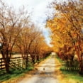 thumbnail image 2 of Alan Hausenflock 36x36 Gallery Wrapped Canvas Wall Art Titled - Glen Allen Farm Square IV, 2 of 4