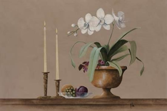 White Orchid Still