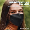 thumbnail image 4 of Mascarilla Respiratoria Lamdown KN95 Paquete de 50 Unidades Negra 5 Capas, 4 of 6