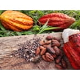 thumbnail image 4 of Raw Cacao Beans, Unroasted Whole Cacao Beans, Premium Single Origin from Colombia, Fermented, 4 of 5