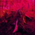 thumbnail image 1 of Magickal Indignation Mystique, 1 of 1