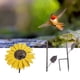 thumbnail image 1 of COMEDERO DE METAL PARA PÁJAROS CON GIRASOL, PEQUEROS COMEDEROS COLGANTES PARA PÁJAROS CON SEMillas de Cártamo, Duraderos Criadores de Pájaros Al Aire Libre, Decoración Fácil, 1 of 7