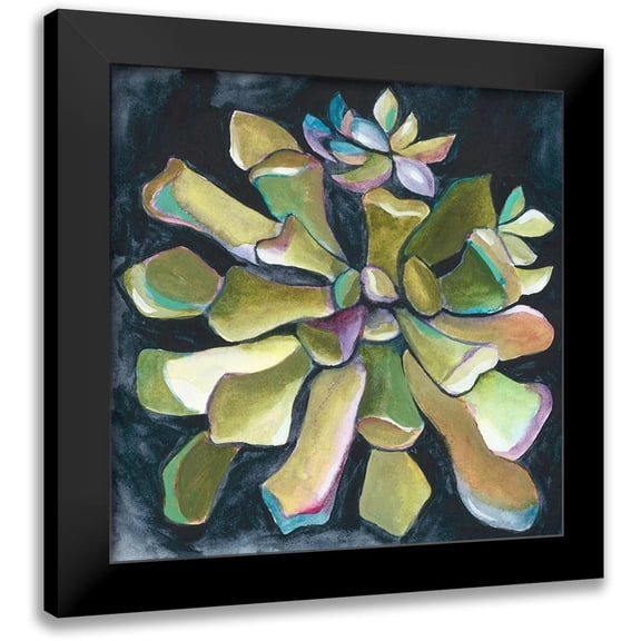 Zarris, Chariklia 12x12 Black Modern Framed Museum Art Print Titled - Succulent Rosette I