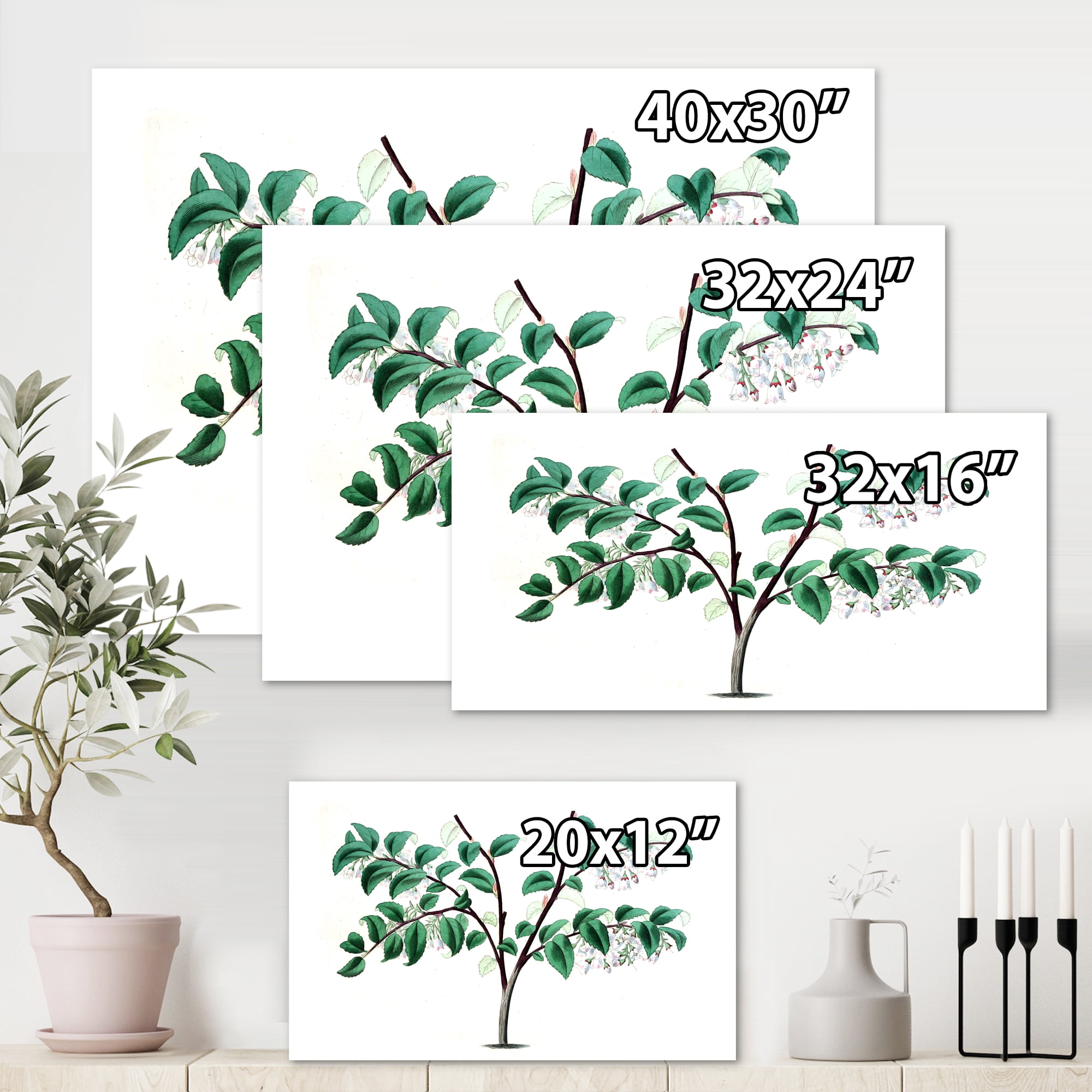 Designart ' Ancient Green Leaves Plants I ' Traditional Canvas Wall Art Print