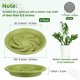 thumbnail image 3 of Uxcell 2-Pack Bandeja para Plantas, 6.5 Pulgadas/16.5cm Bandejas de Plástico Más Gruesas para Macetas/Interior/Exterior [Verde Manzana], 3 of 7
