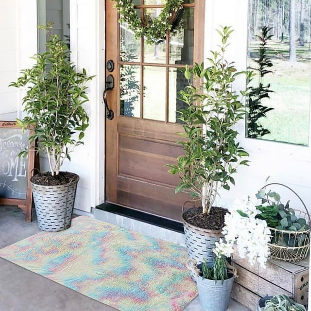 EGNMCR Outdoor Rug Bathroom Rugs Foot Cushions Soft Rugs Anti-Skid Area Rug Dining Room Home Bedroom Carpet Floor floor rug