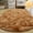 H, variant on Oval Silk Rugs Mats Carpets Bedroom Fluffy Shaggy Soft Area Carpet Non-Slip Indoor Floor Carpet for Living Room, Kids Baby Girl Women Lady Dorm Home Decor Aesthetic comfortable to Put Feets on