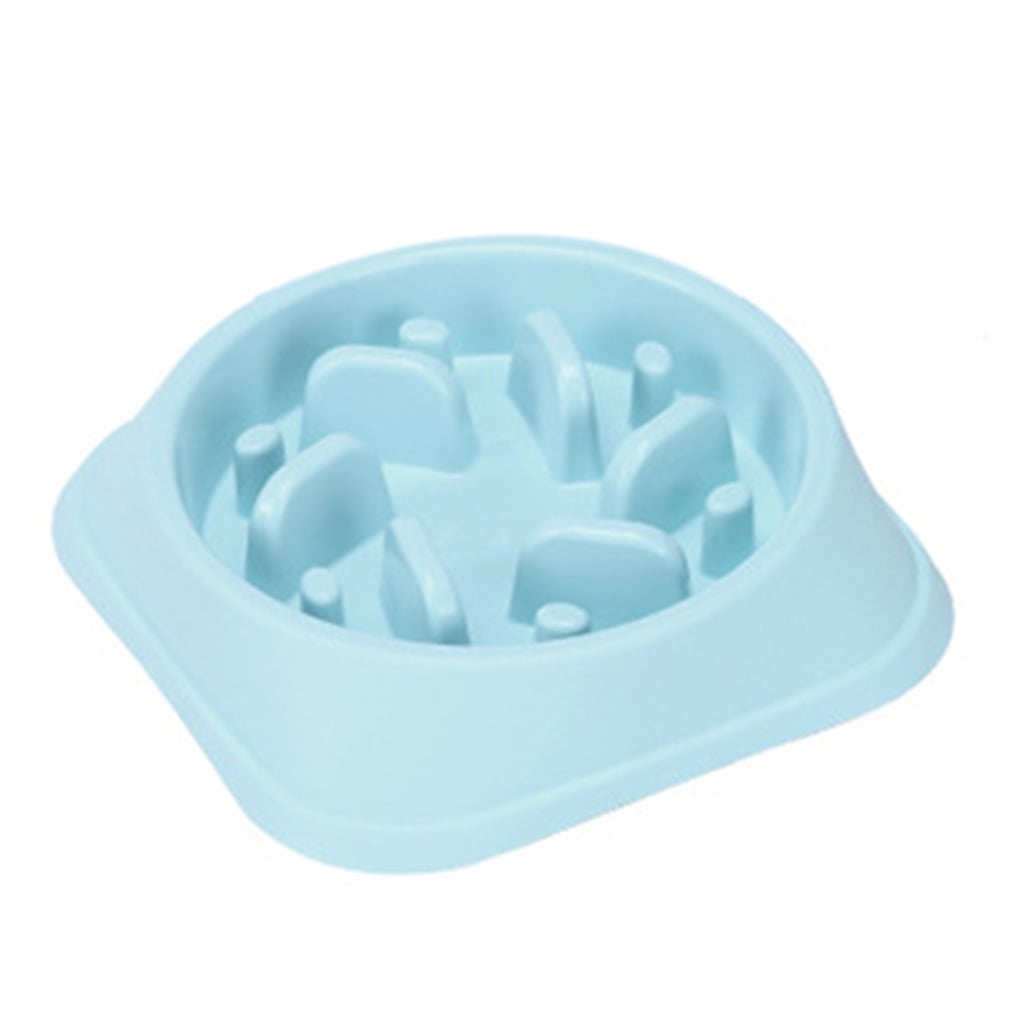 slow feed cat bowl