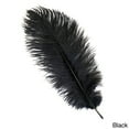 thumbnail image 2 of Zucker Feather Products Ostrich Feathers - Drabs Selected - 13 - 16" - Natural, 2 of 5