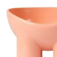 thumbnail image 6 of Raised Cat Bowls, Tilted Elevated Cat Food and Water Bowls, Free Feeder Bowl Dish for Cats and Small Dogs, pink, 6 of 6