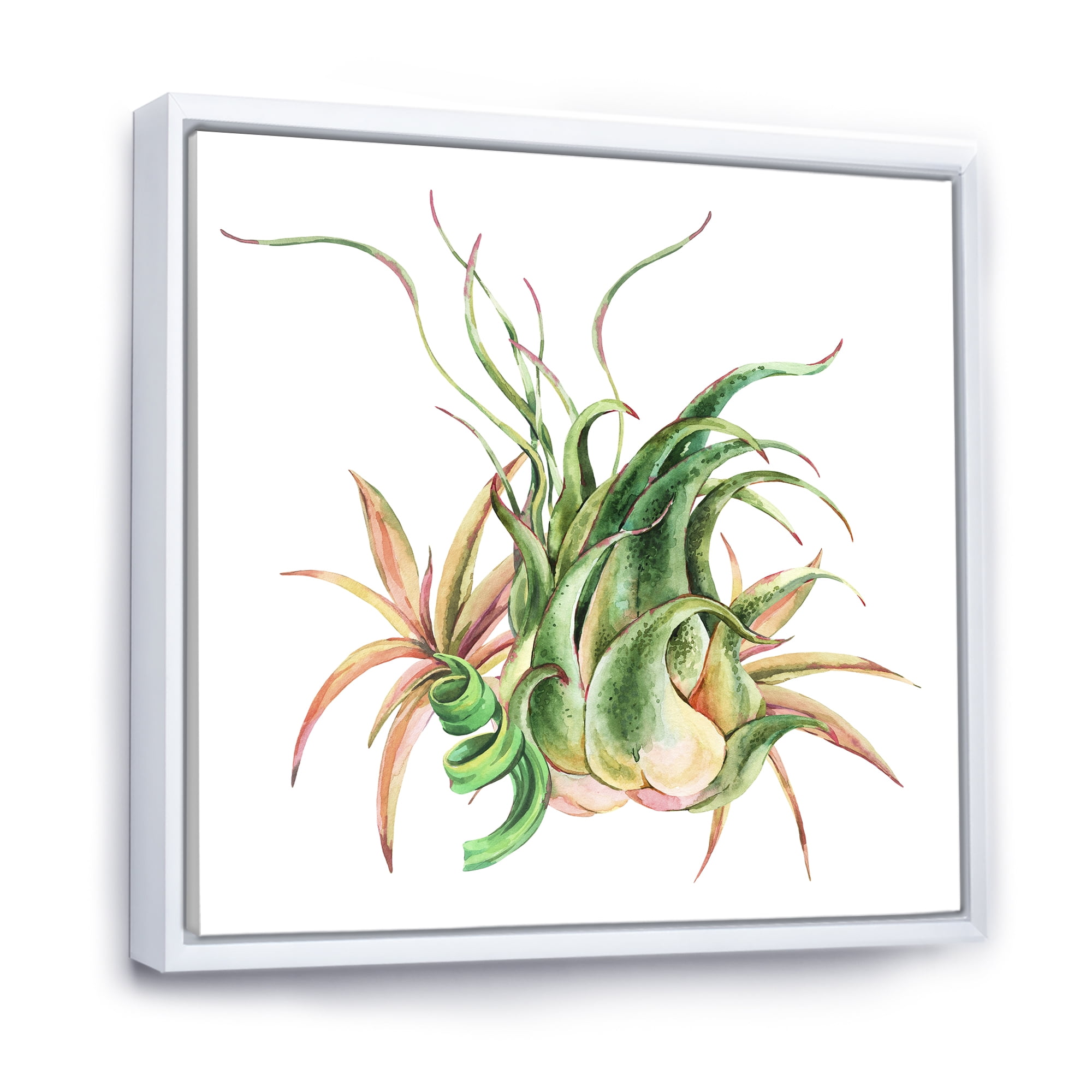 Designart 'Tropical Leaves Air Plant Succulent On White' Farmhouse Framed Canvas Wall Art Print