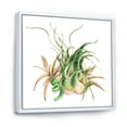 thumbnail image 3 of Designart 'Tropical Leaves Air Plant Succulent On White' Farmhouse Framed Canvas Wall Art Print, 3 of 5